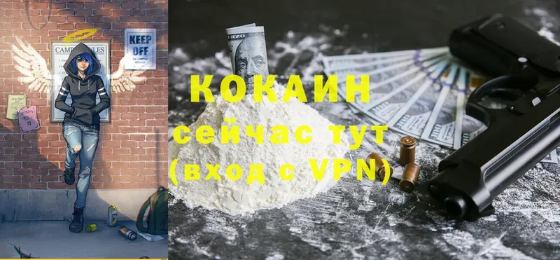 Cocaine FishScale  Елизово 